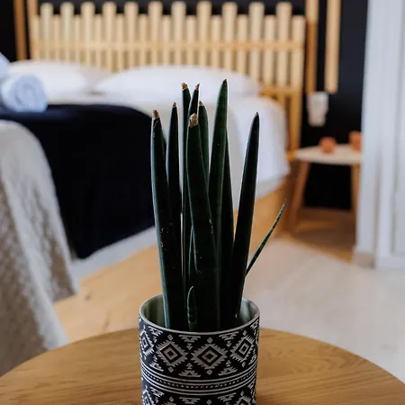 Historical View 칼라마타