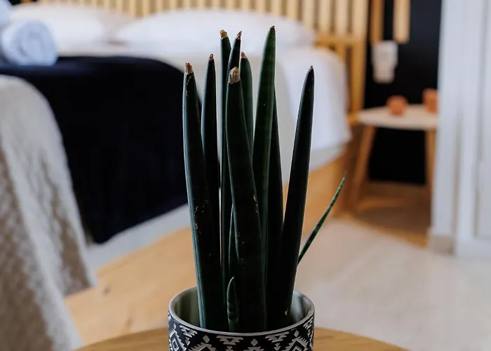 Historical View Calamata