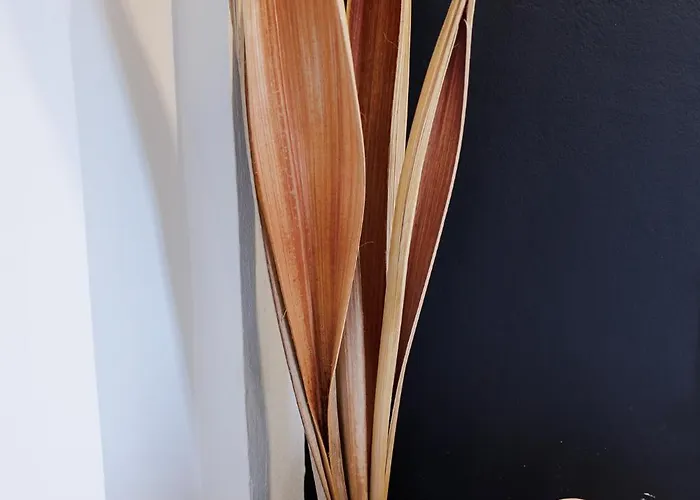 Apartamento Historical View